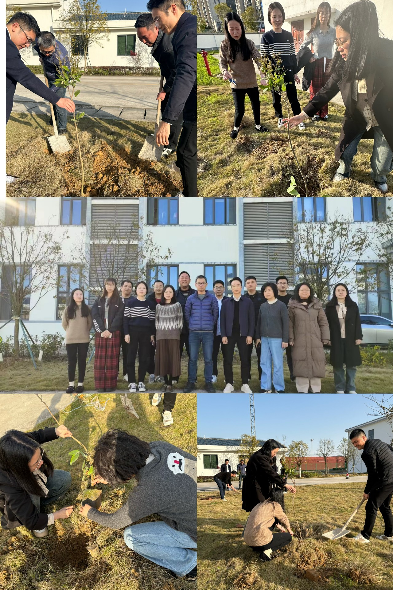 2024-3-12綠色陸港，美麗寧德，阮克妙拍攝.jpg